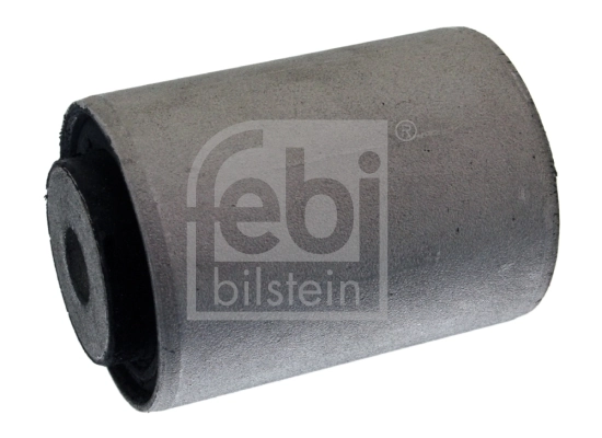 Mounting, control/trailing arm